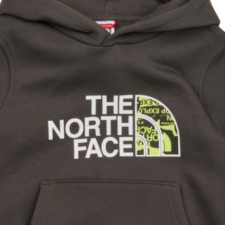 Felpa-ragazzo-The-North-Face-Boys-Drew-Peak-PO-Hoodie-Grigio-The-North-Face-196013687519-2